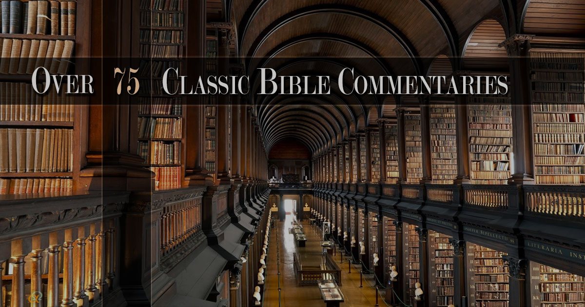 Bible Commentaries